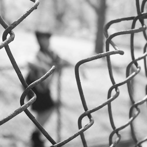 Fence & Gate Repair